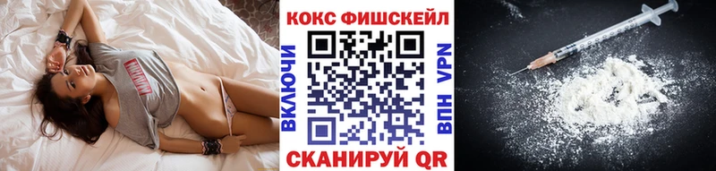 где можно купить   Малмыж  COCAIN 99% 